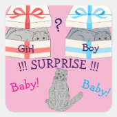 誰が驚生まれくベビー スクエアシール (正面)