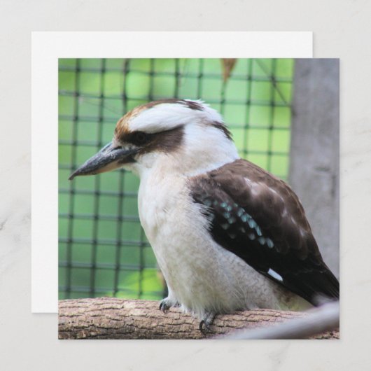 誰がKookを呼んでいる (正面/裏面)