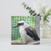 誰がKookを呼んでいる (スタンド正面)