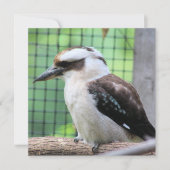 誰がKookを呼んでいる (正面)