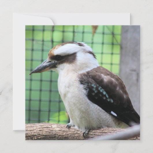 誰がKookを呼んでいる (正面)