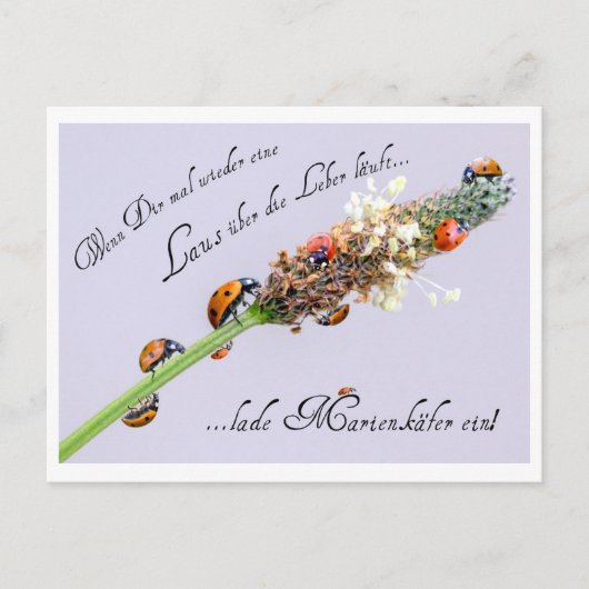 誰だって少しの幸運が欲しいもの！ ポストカード (正面)