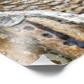 誰だフクロウのペア フォトプリント            (角)