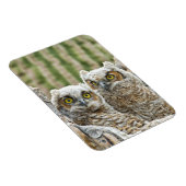 誰だフクロウのペア マグネット (右側)