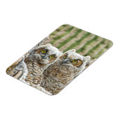 誰だフクロウのペア マグネット (左側)