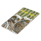 誰だ？アリゾナ州フクロウのスコッツデール マグネット (左側)