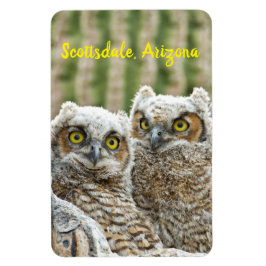 誰だ？アリゾナ州フクロウのスコッツデール マグネット
