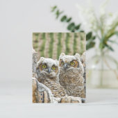 誰だ？フクロウ ポストカード (スタンド正面)