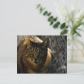 誰だ? ポストカード (スタンド正面)