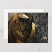 誰だ? ポストカード (正面/裏面)