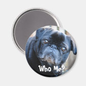 誰だ？マグネット マグネット (正面/裏面)