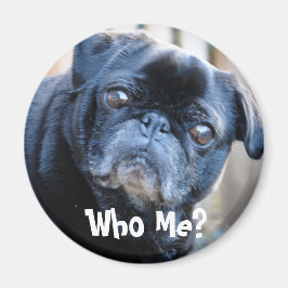 誰だ？マグネット マグネット