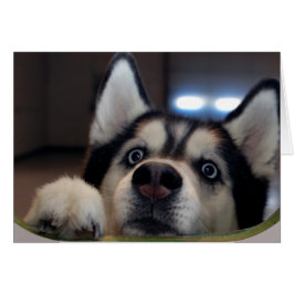 誰でもはそこにあります