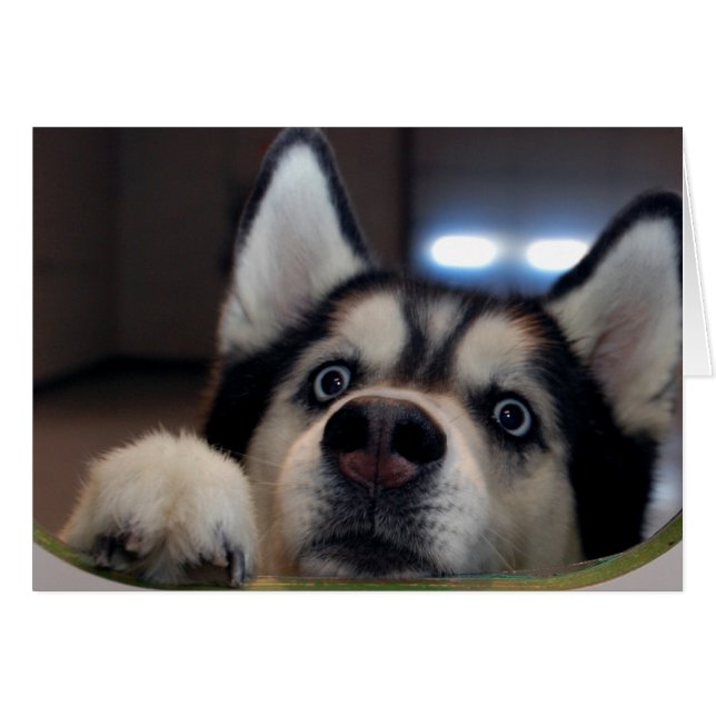 誰でもはそこにあります (正面横)