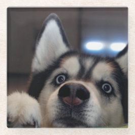 誰でもはそこにあります ガラスコースター