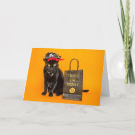 誰でもハッピーハロウィン 面白い海賊猫 シーズンカード