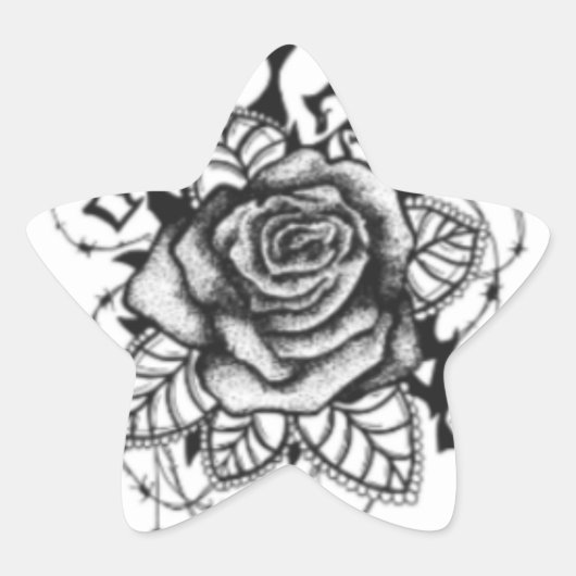 誰でも使用 星シール (正面)