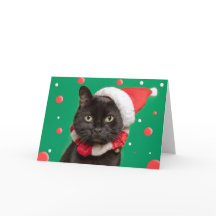 誰でも楽しいクリスマス かわいいサンタ帽の猫