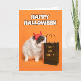 誰にでもハッピーハロウィン ネコの衣装 シーズンカード