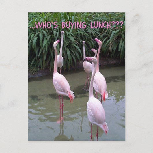 誰のお買昼? ポストカード (正面)