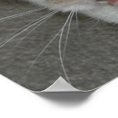 誰のサンバイザーだ？ ポスター (角)