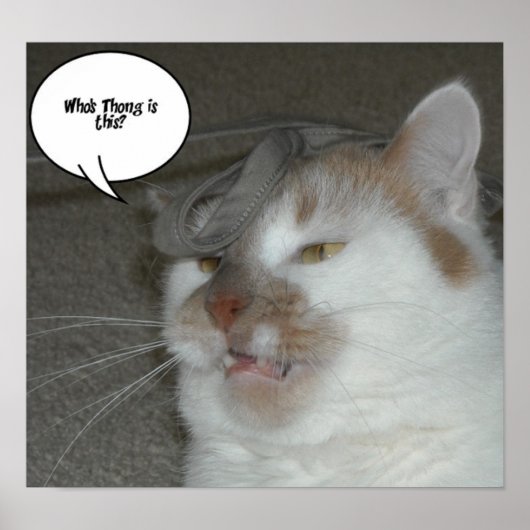 誰のサンバイザーだ？ ポスター (正面)