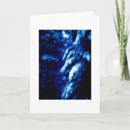 誰の森だ？私は考え知っている…ノートカード シーズンカード