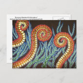 誰もが何とか手を差し伸べる ポストカード (正面/裏面)