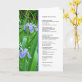 誰もが誰かを必要と…友情 カード (黄色い花)