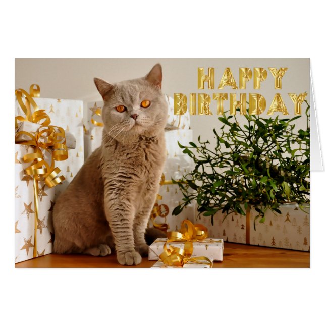 誰もが贈り物を愛している (正面横)