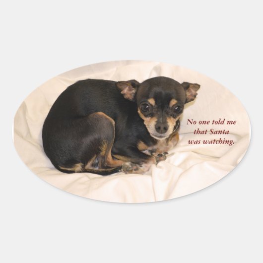誰もサンタが見ていると言わなかった。 楕円形シール (正面)