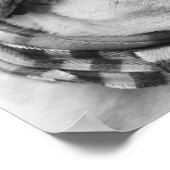 誰もパグのポスターを見ていないようなダンス ポスター (角)