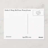 誰も元に戻って新しいスタートを切ることはできないが ポストカード (裏面)