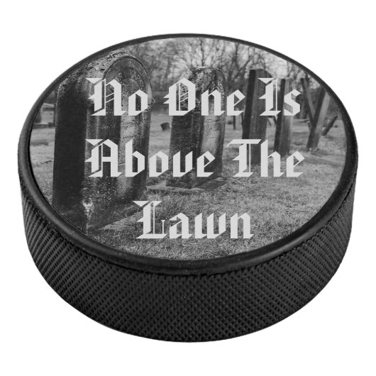 誰も芝生の上に居ない アイスホッケーパック (3/4)