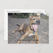 誰も見ていないように笑う ポストカード (正面/裏面)