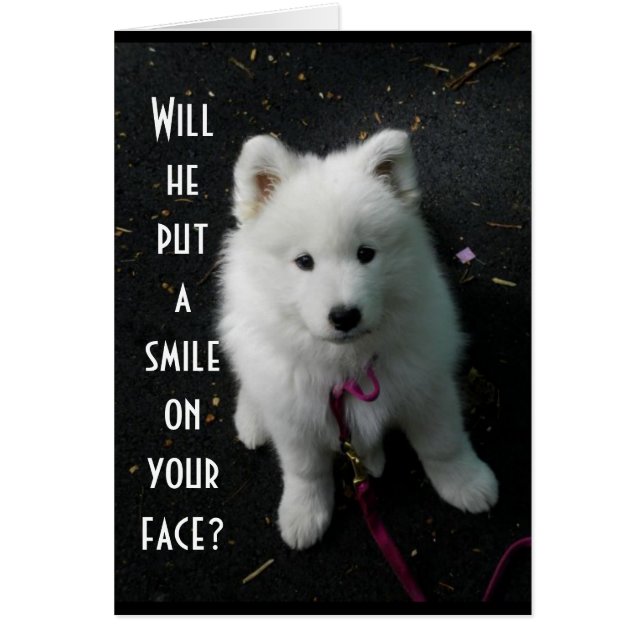 誰も「お前の忘れ誕生日」すべきではない (正面)