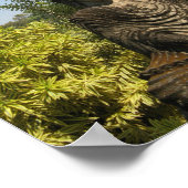 誰を崇拝してる？タイ，イサーン，ノングカイ ポスター (角)