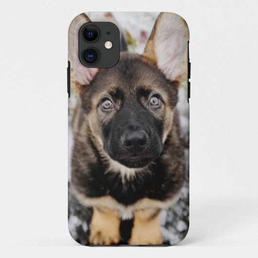 調べているかわいい子犬 Case-Mate iPhoneケース (裏面)