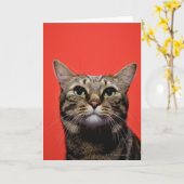 調べている日本のな猫 カード (黄色い花)