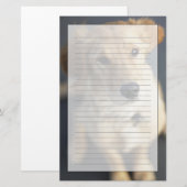 調べている犬 便箋 (正面/裏面)