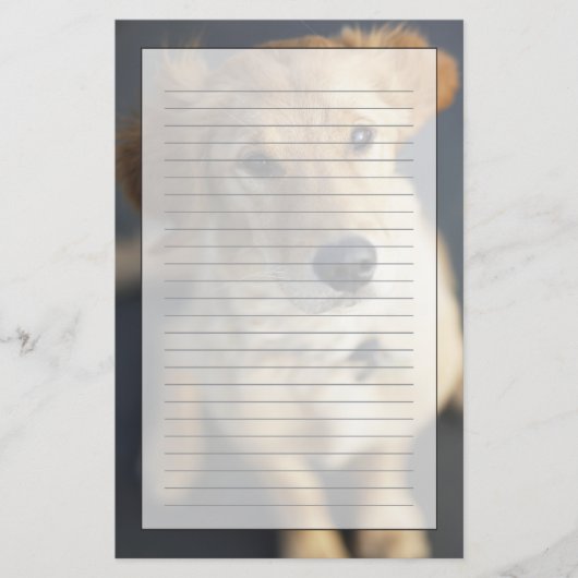 調べている犬 便箋 (正面)