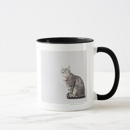 調べている猫 マグカップ (右)