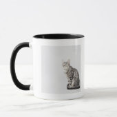 調べている猫 マグカップ (左)