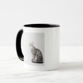 調べている猫 マグカップ (正面左)
