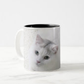 調べている白い猫 ツートーンマグカップ (正面左)