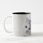 調べている白い猫 ツートーンマグカップ (左)