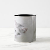 調べている白い猫 ツートーンマグカップ (中央)