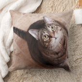 調べている虎猫猫 クッション (ブランケット)
