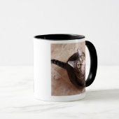 調べている虎猫猫 マグカップ (正面右)