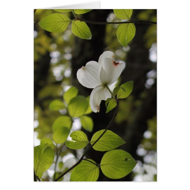 調べること (正面)